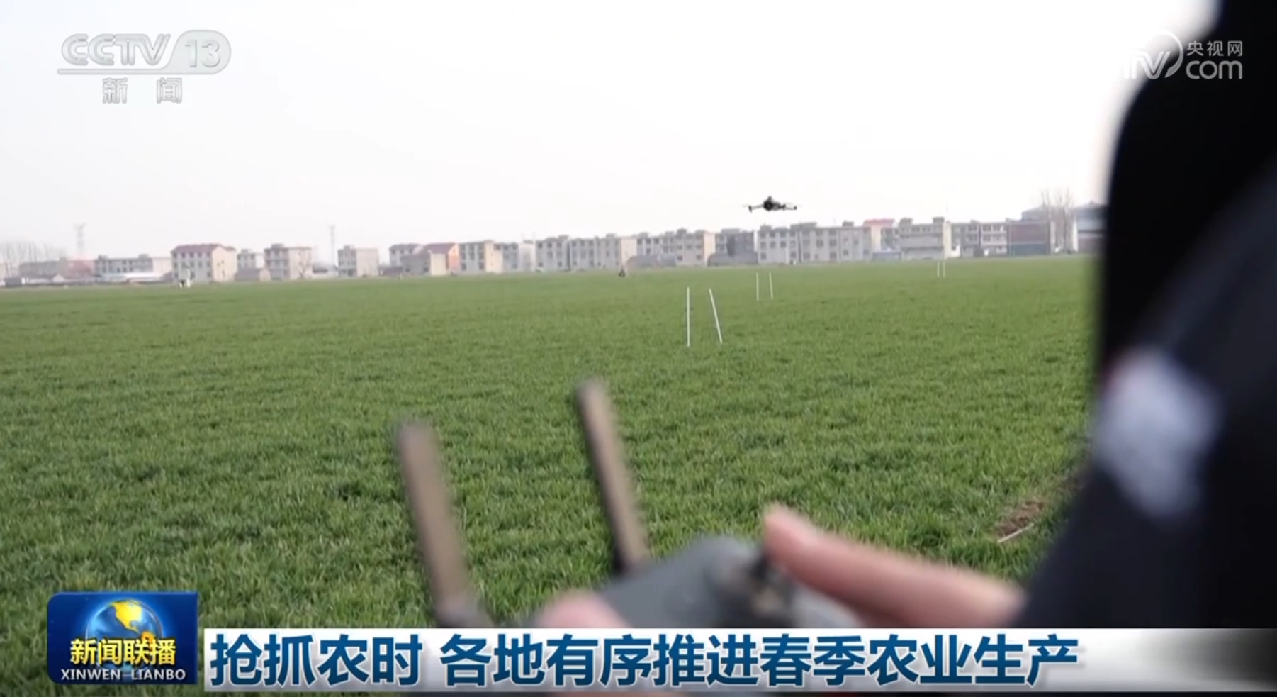 球迷与专家