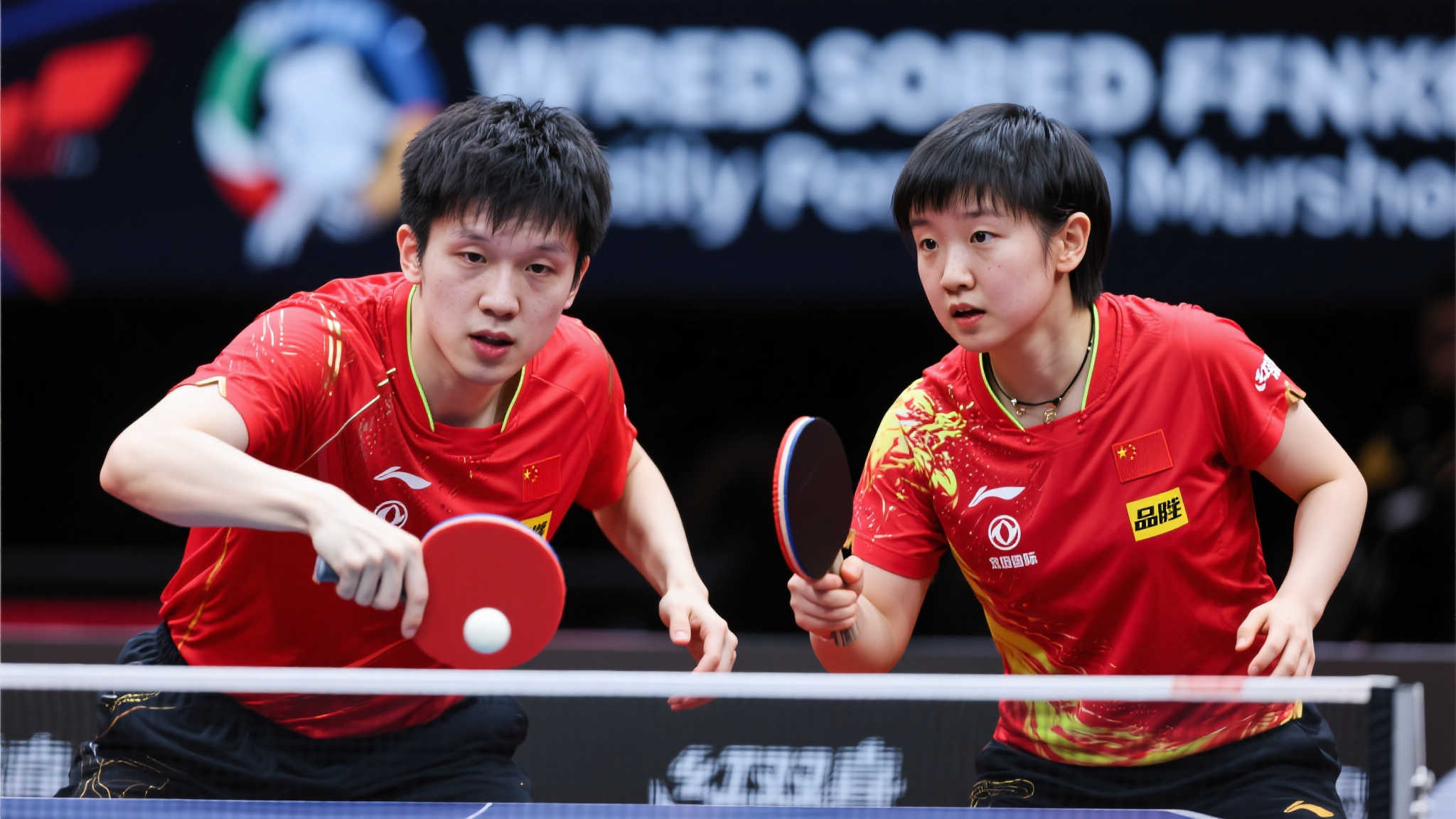 我们发现 我们发现